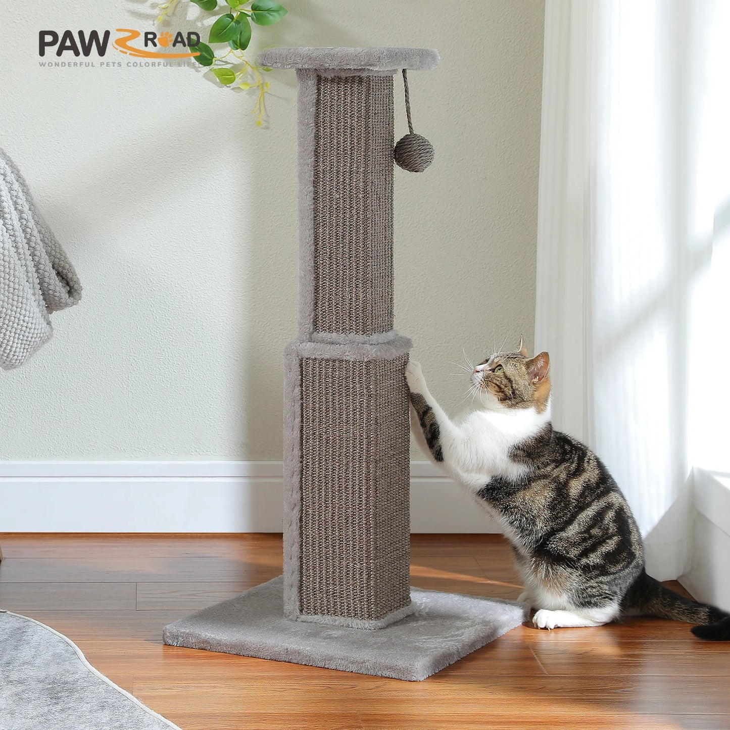 80cm Cat Scratching Post (+Colours)