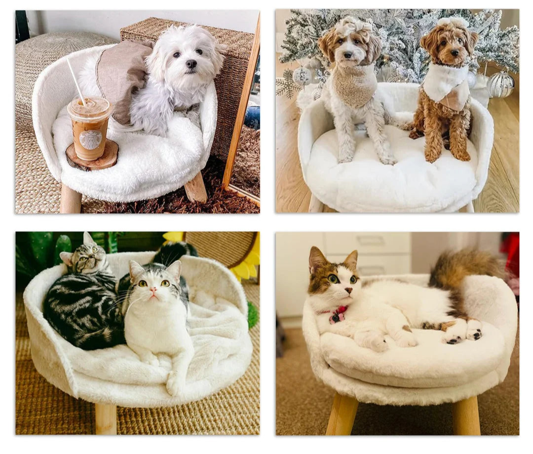 Luxury Standing Bed