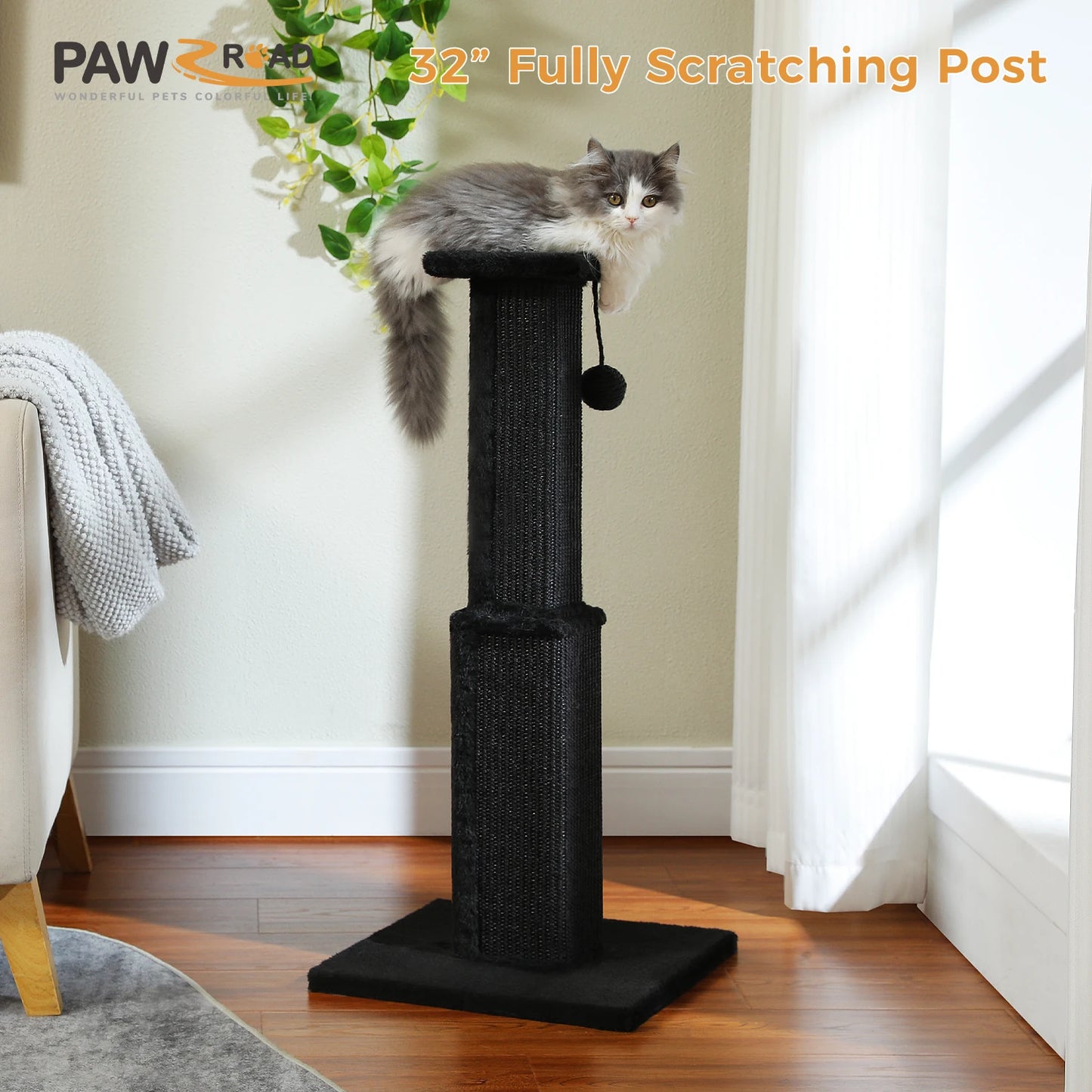 80cm Cat Scratching Post (+Colours)