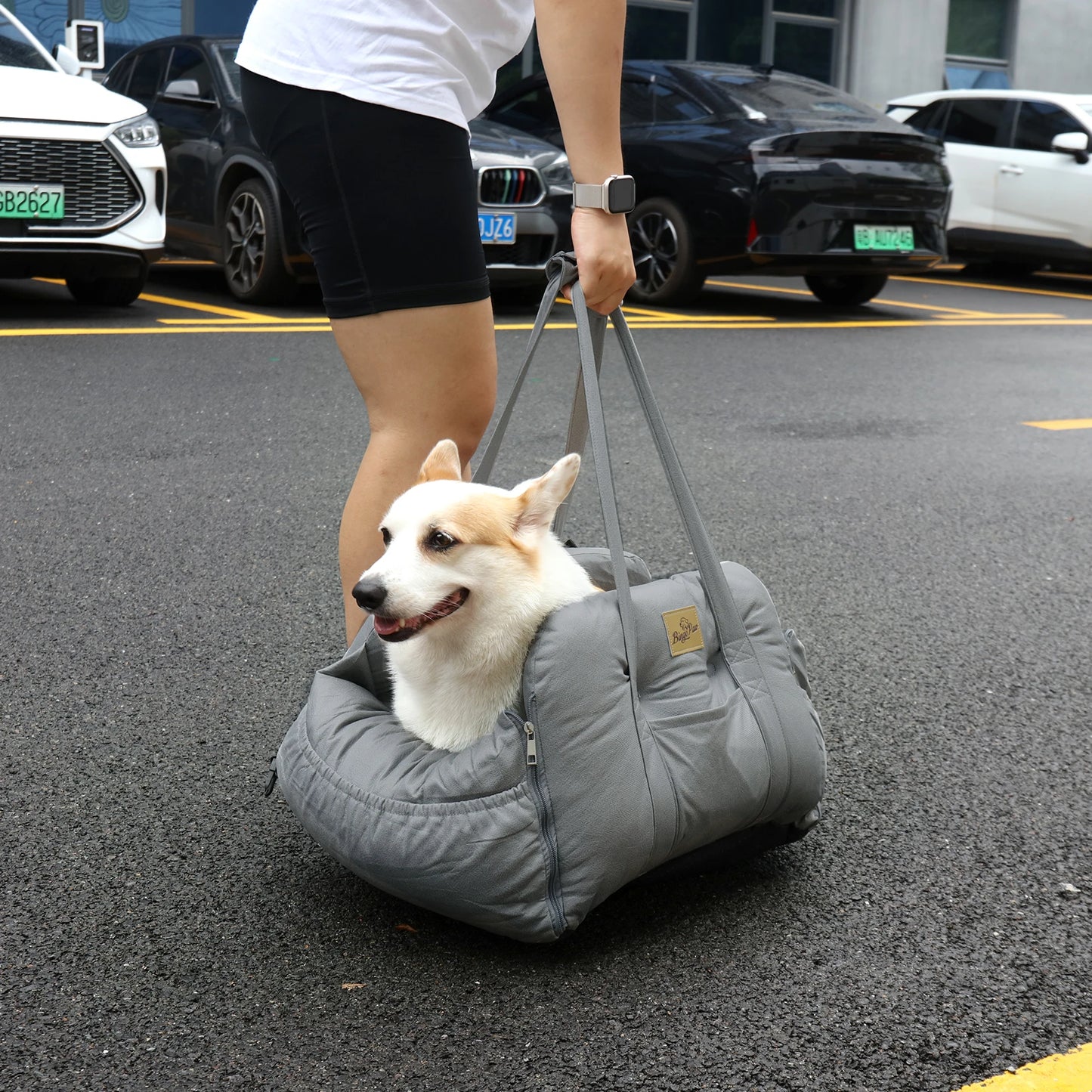 Portable Dog Car Seat Carrier with Safety Belt