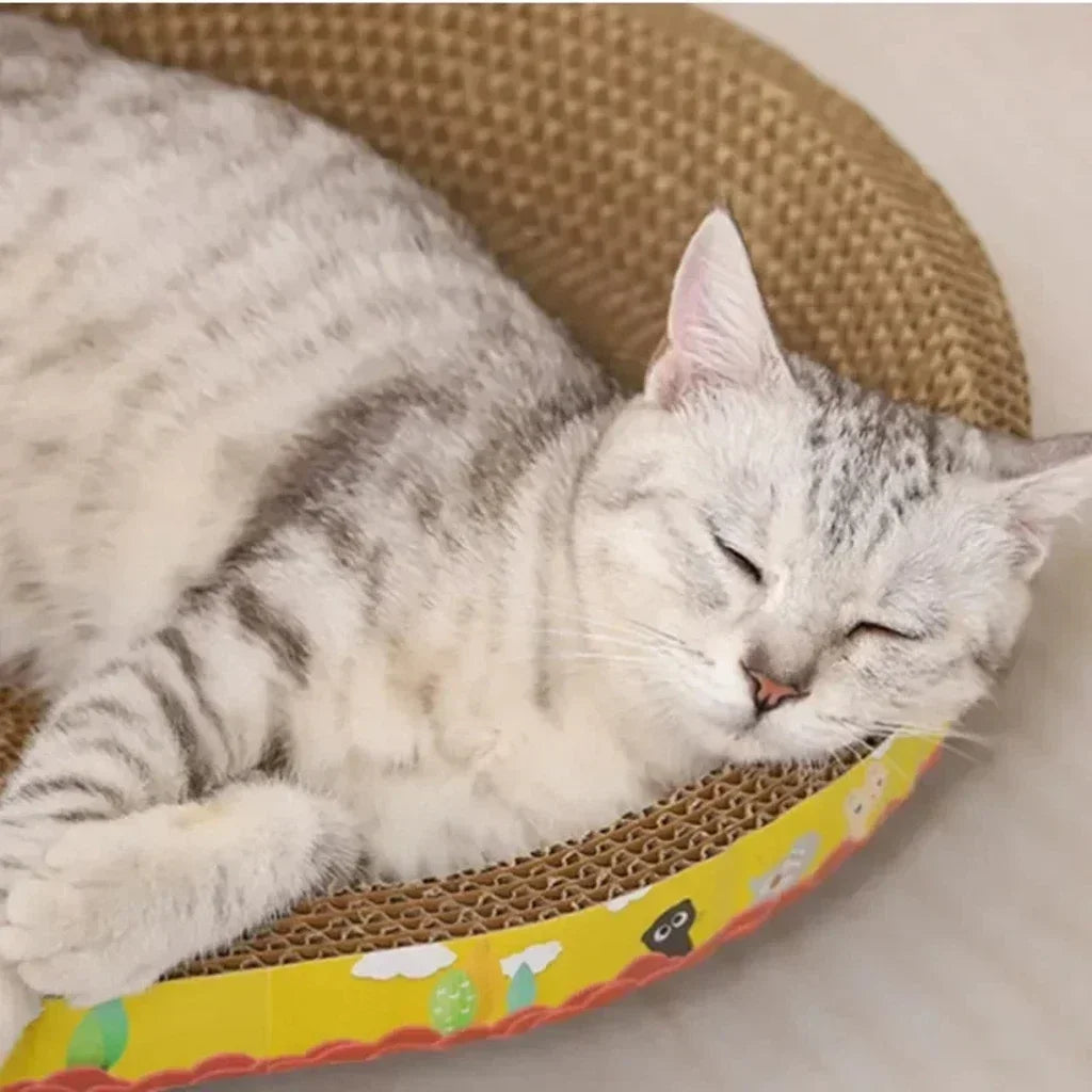 Cat Scratching Bed