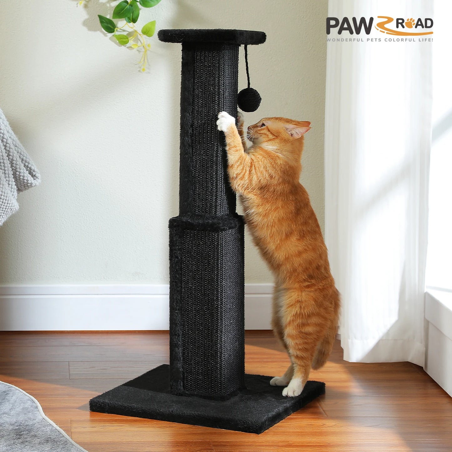 80cm Cat Scratching Post (+Colours)