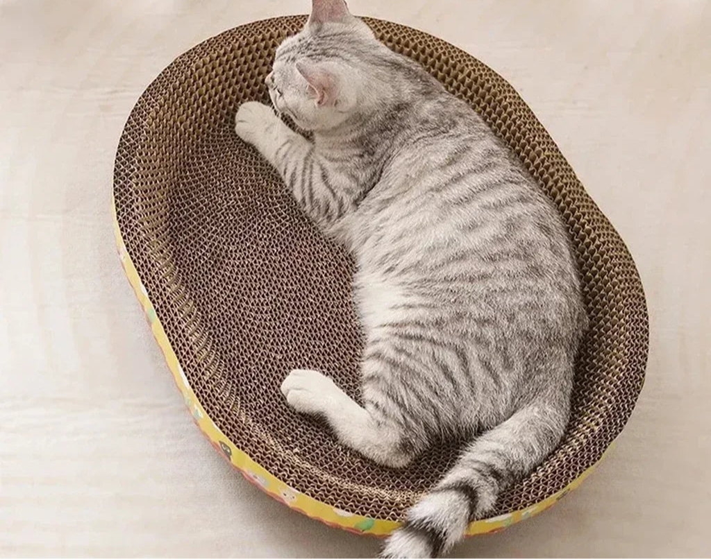 Cat Scratching Bed